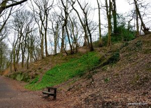 Daisy_Nook_country_park_20160319 (30)