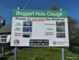 Boggart Hole Clough_Manchester_20170325 (21)