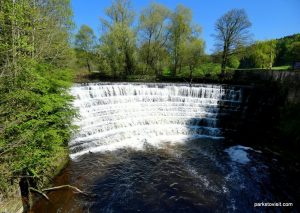 Etherow_Country_park_Stockport_052018 (42)