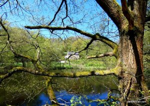 Etherow_Country_park_Stockport_052018 (47)