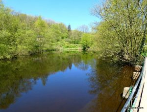 Etherow_Country_park_Stockport_052018 (50)