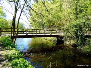 Etherow_Country_park_Stockport_052018 (52)
