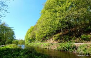 Etherow_Country_park_Stockport_052018 (53)