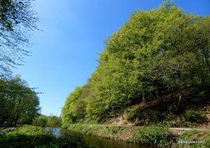 Etherow_Country_park_Stockport_052018 (54)