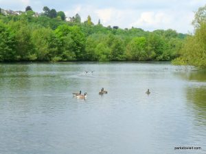 Roman Lakes Leisure Park_201706 (35)