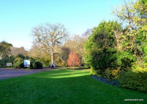 Royal Botanic Garden Edinburgh_201711 (3)