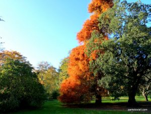 Royal Botanic Garden Edinburgh_201711 (5)