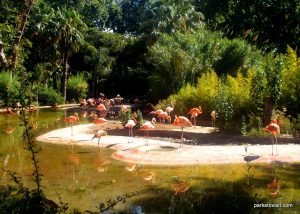 Zoo de Barcelona_30602017_Barcelona_Spain (24)
