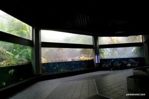 Aquarium Berlin_092018 (30)